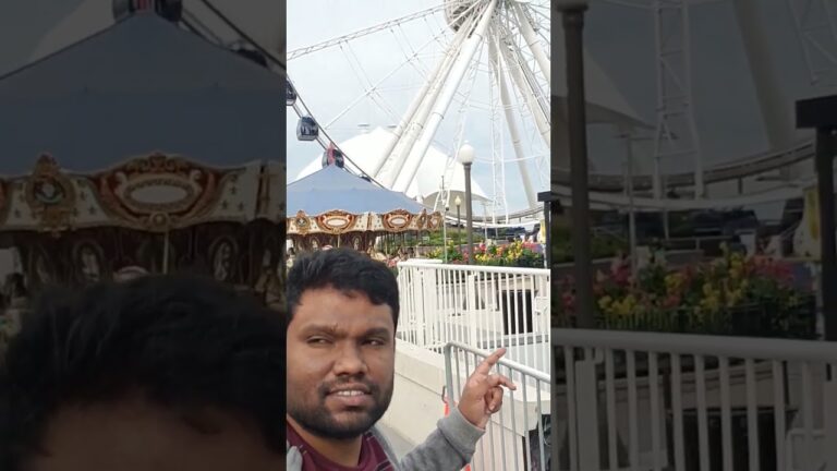 Navy pier Chicago
