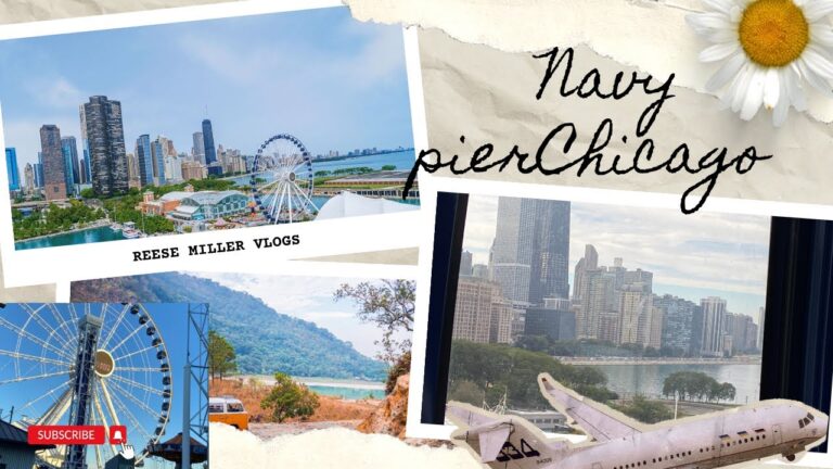 Navy pier Chicago city#chicago #navypier