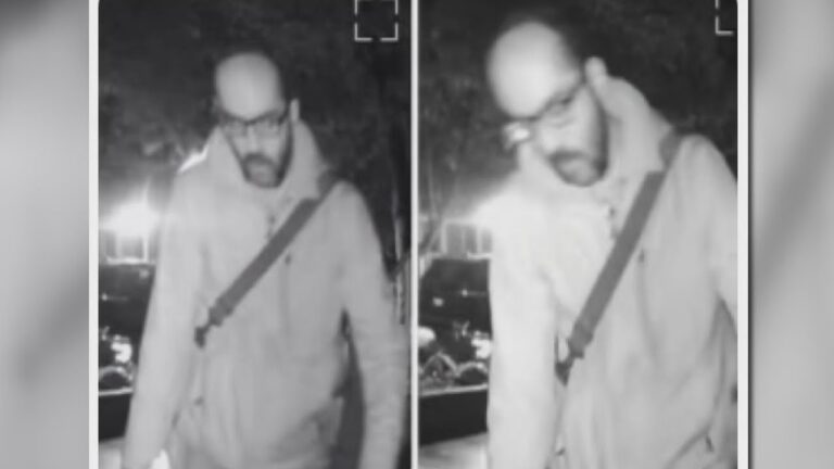 Arsonist set fire to Halloween decorations at multiple Chicago homes, businesses