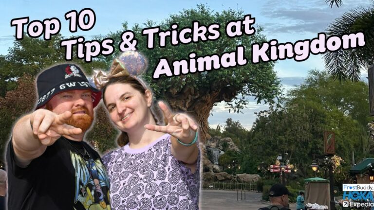 Watch This Before your Animal Kingdom Visit!
