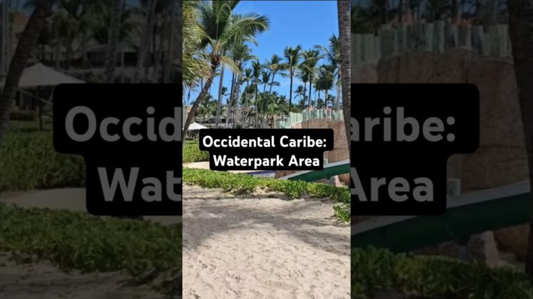 Occidental Caribe: Waterpark Area