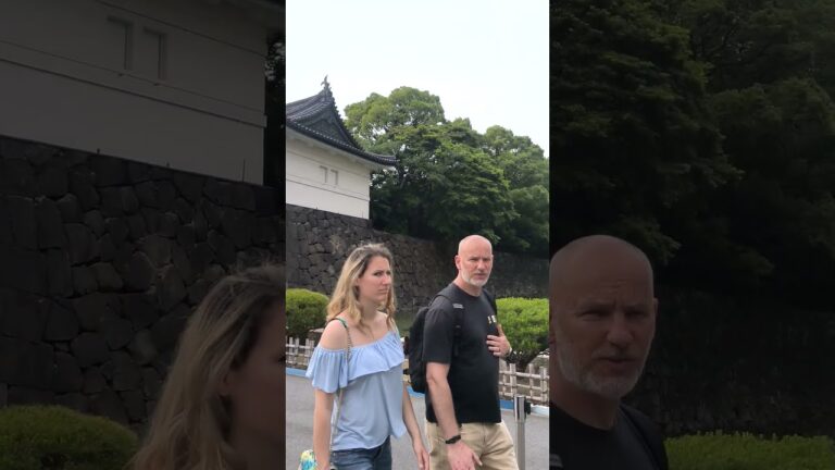 Tokyo (Imperial Palace) #japan #tranding #travel #international #nature #beautiful #shorts #song