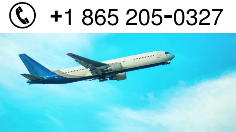 Expedia Customer Service USA: 24/7 Help and Contact Numbers